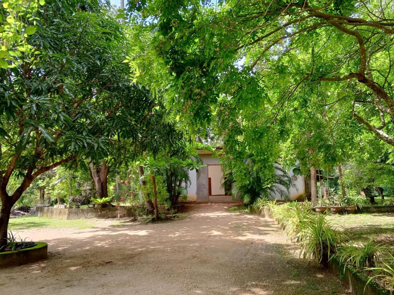 Deer Garden Guest Hotel Polonnaruwa Exterior foto
